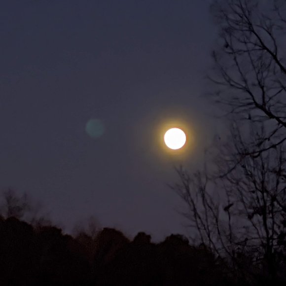 Meet your Posher, Michele - Picture 4 of 6